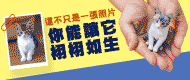 廣告