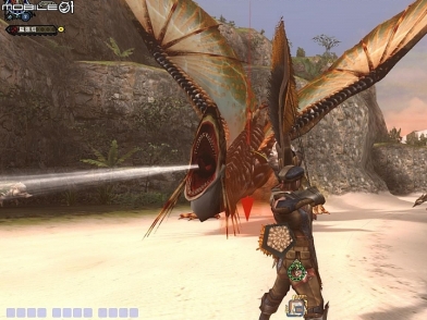 輕弩/重弩/弓 《魔物獵人Frontier G》武器心得分享最終彈
