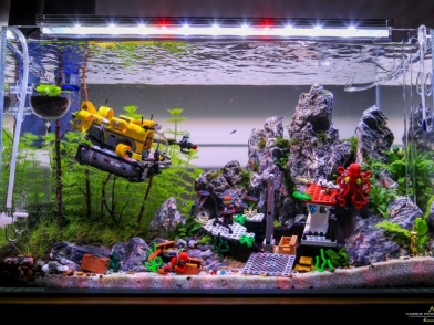 樂高水族造景分享