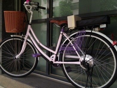 《改裝翻新》陳年買菜淑女車超級進化萌系列粉紅電動貓