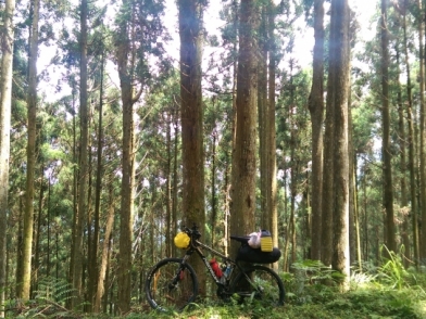 『那些Bikepacking的日子』 - 羅山林道
