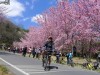 瘋狂舉指! 狂樂遊 NO3 武陵農場拜訪春天