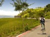 Twrail Bicycle - 富里六十石山與池上伯朗大道