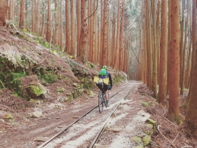'流浪者日誌' - 隱身於阿里山谷中的特富野部落