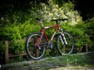 致重獲新生的青春回憶 Giant Iguana 950 (捷安特 A950)