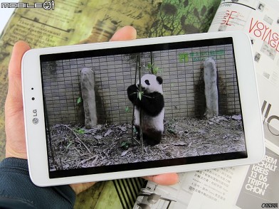 LG G Tablet 8.3 旗艦規格 單手易掌握