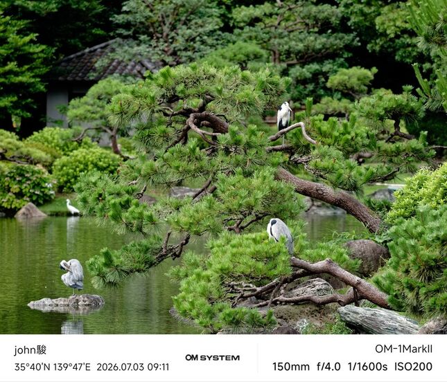 再看一次東京第一日(清澄庭園、藍瓶咖啡、OMSYSTEM PLAZA、炸牛排元村、東京鐵塔)(OM SYSTEM OM-1II、OM-3、OM-5II、TG-7)