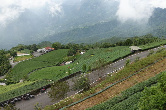 8/1-2旅遊嘉義梅山、竹騎，太興飛瀑步道，乘坐阿里山小火車，隨意gogogo健康徒步快樂行